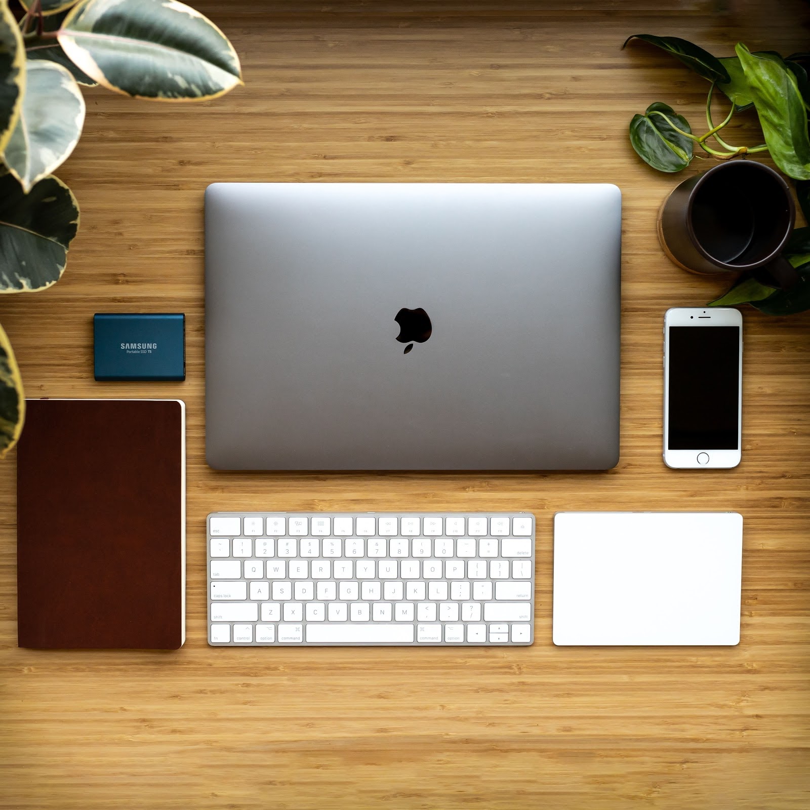 Plantes et ordinateur, clavier, téléphone posés sur une table en bois