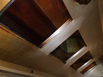 Canopy - before