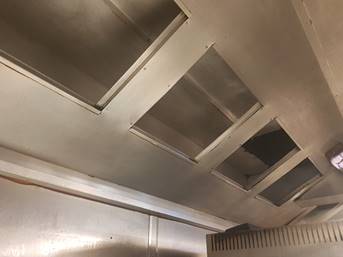 Canopy - After