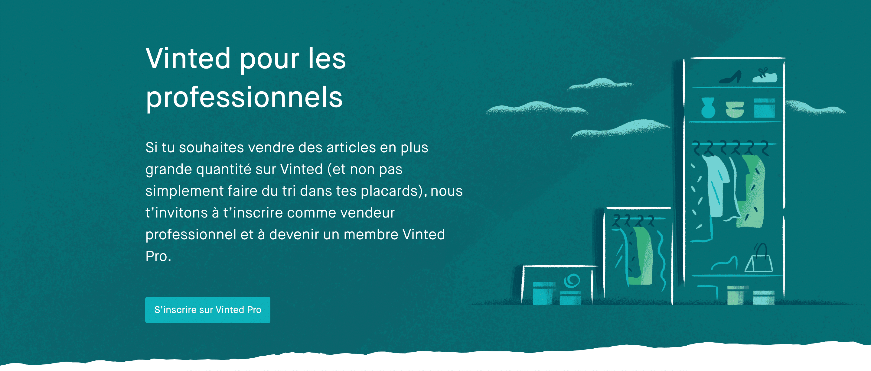 vinted pour les pros