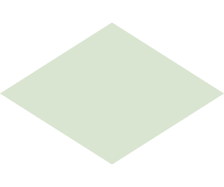 Raute Styling Element