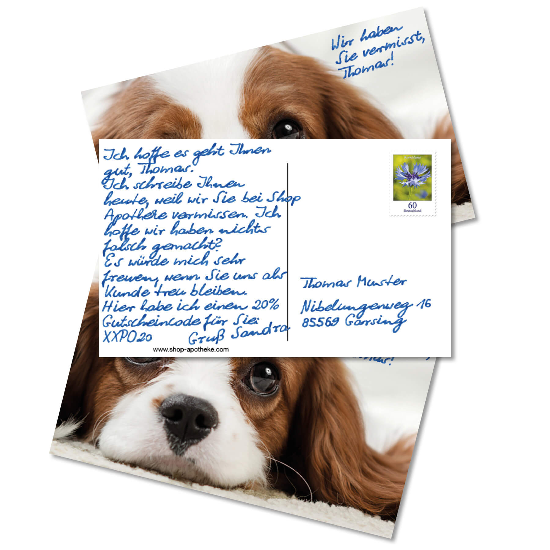 Handgeschriebene Postkarte von Pentroy