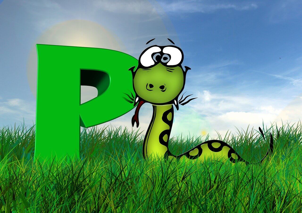 python snake