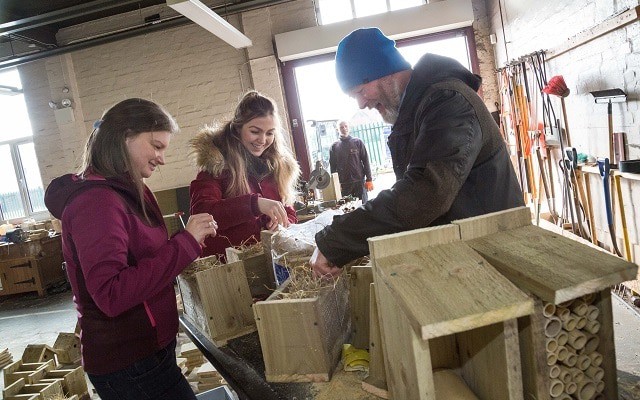 bugs bats birds chester 640