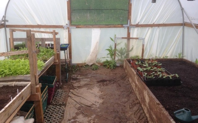 greenhouse
