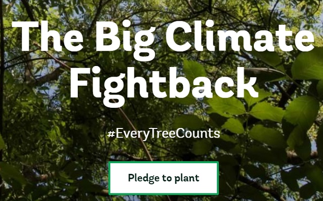 Woodland Trust - The Big Climate Fightback campaign