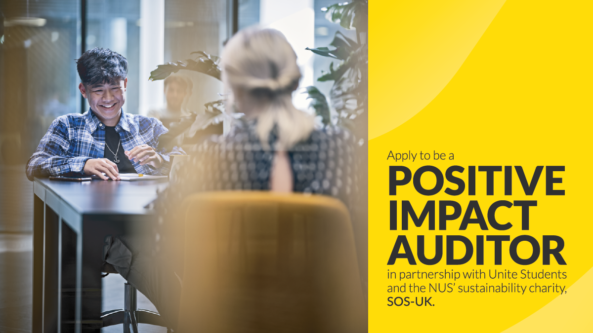 Volunteer as a Positive Impact auditor