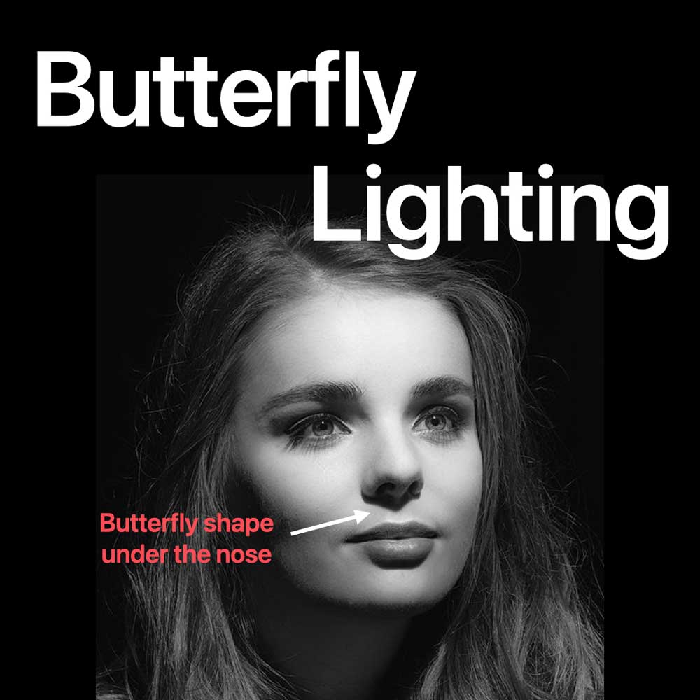 Butterly Licht Setup
