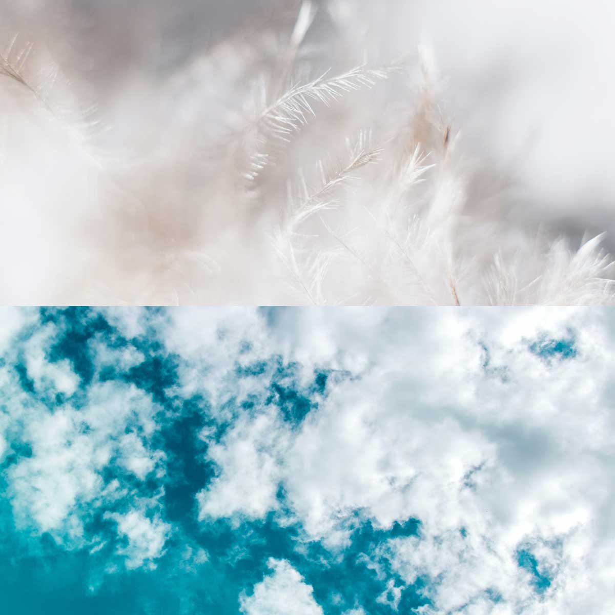 Federn und Wolken