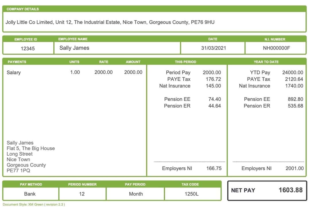 Replacement Payslips Free Samples 30 Minute Service