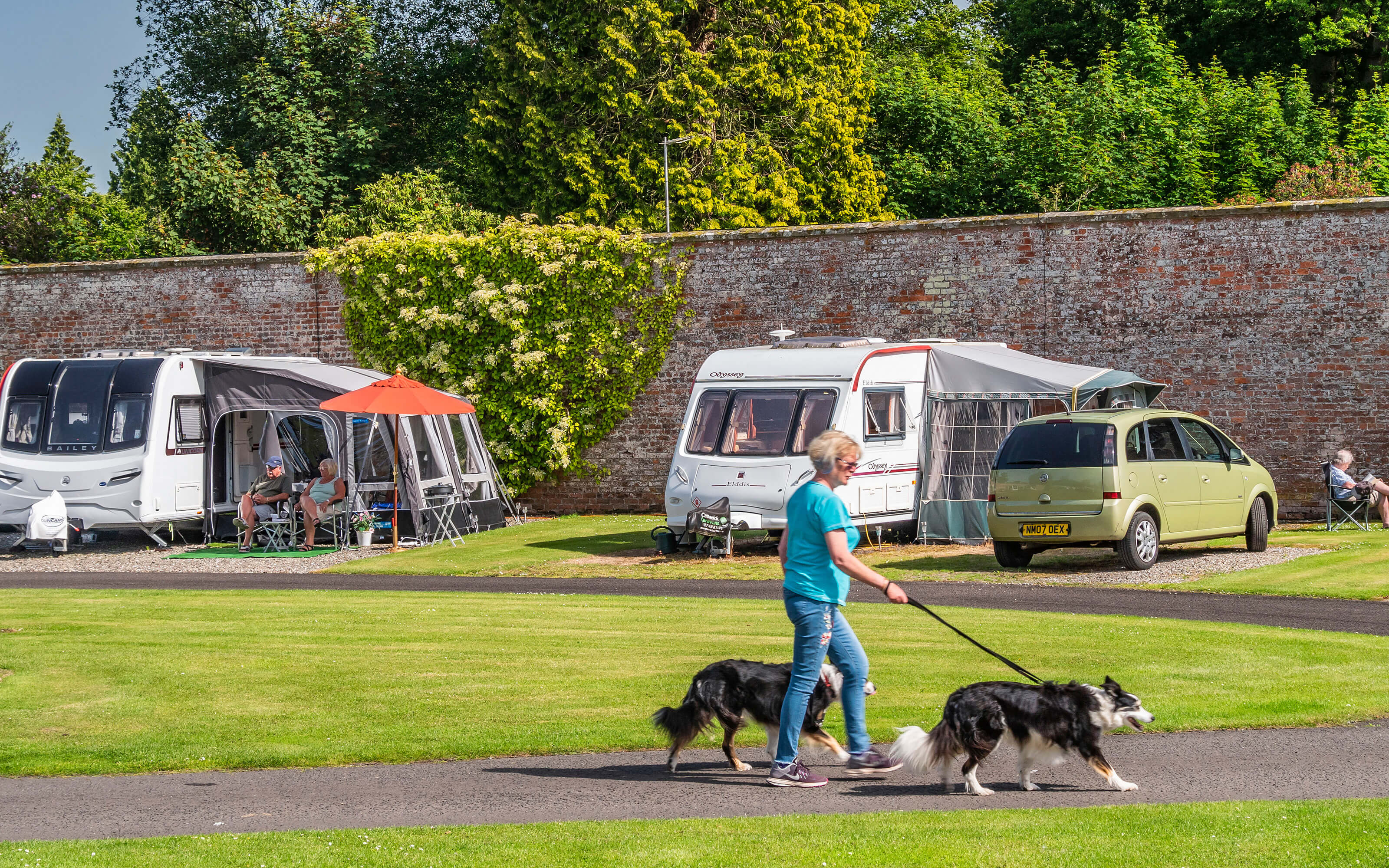 Can You Take Dogs To Blair Drummond can-you-take-dogs-to-blair-drummond