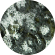 Mould