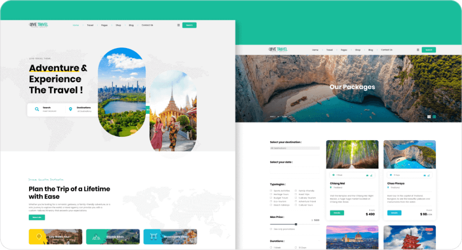 Travel Agency Website Design preview 3