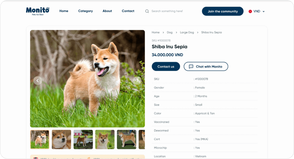 Pet Store Web Template preview 3