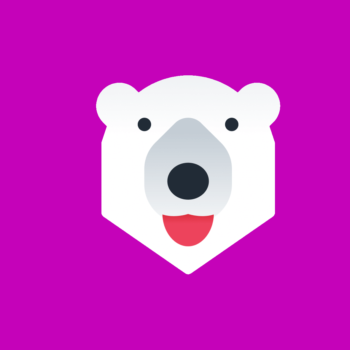 Conversion Bear Currency for Shopify