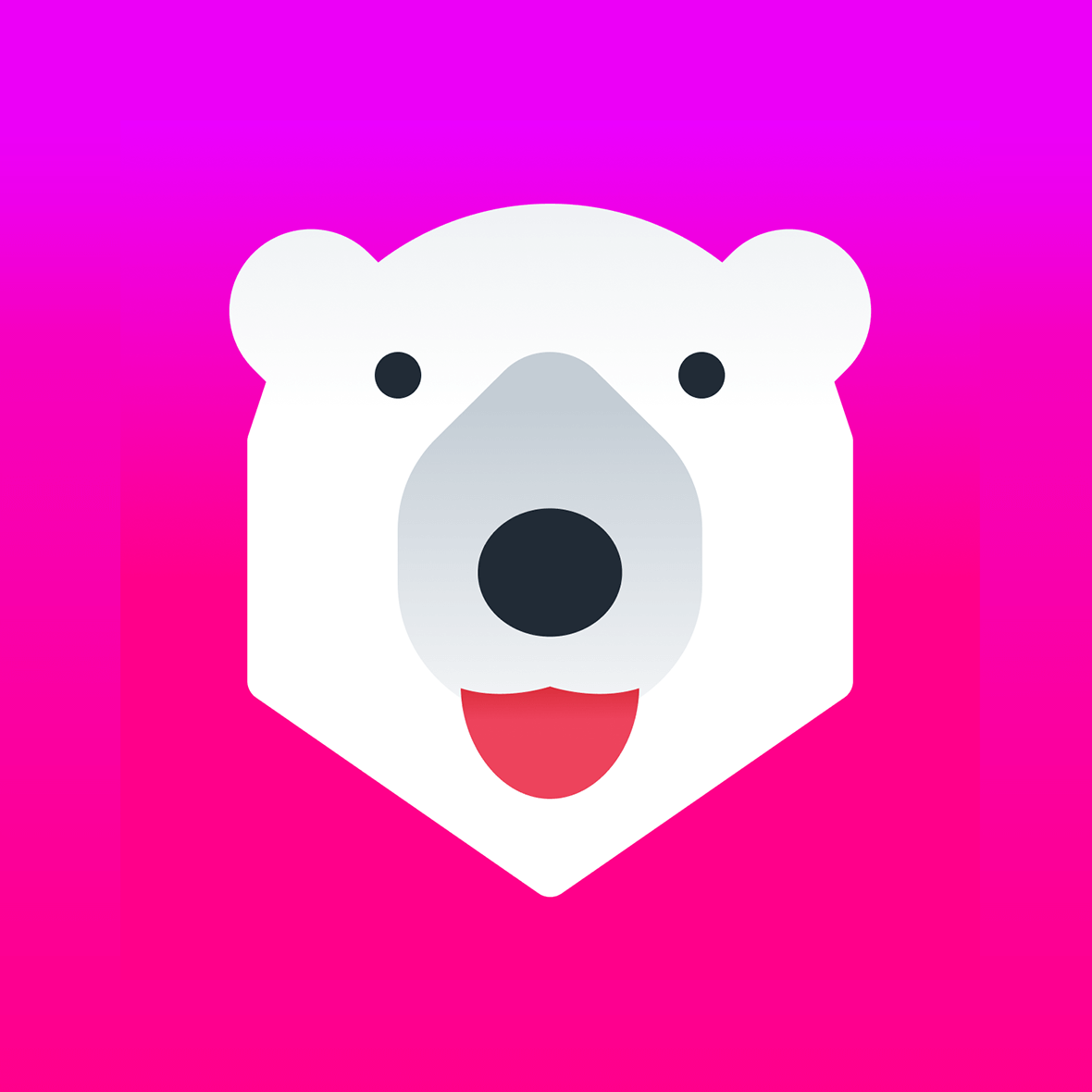 Conversion Bear