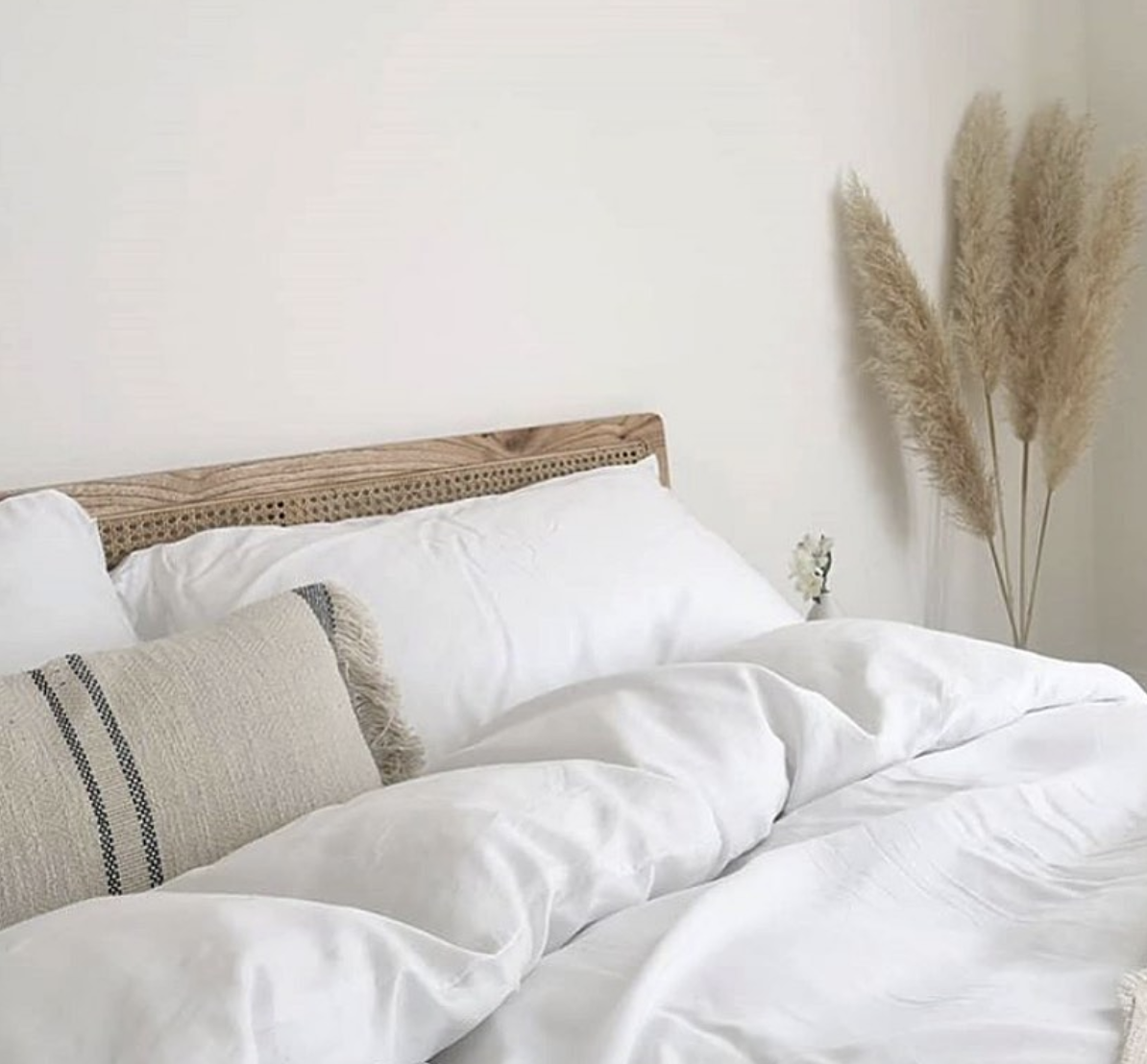 Mela Comfort