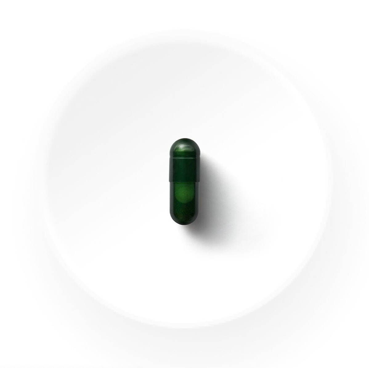 Seed