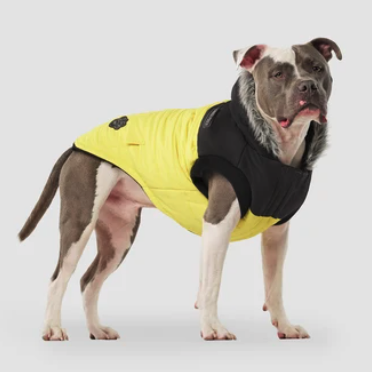Canada Pooch