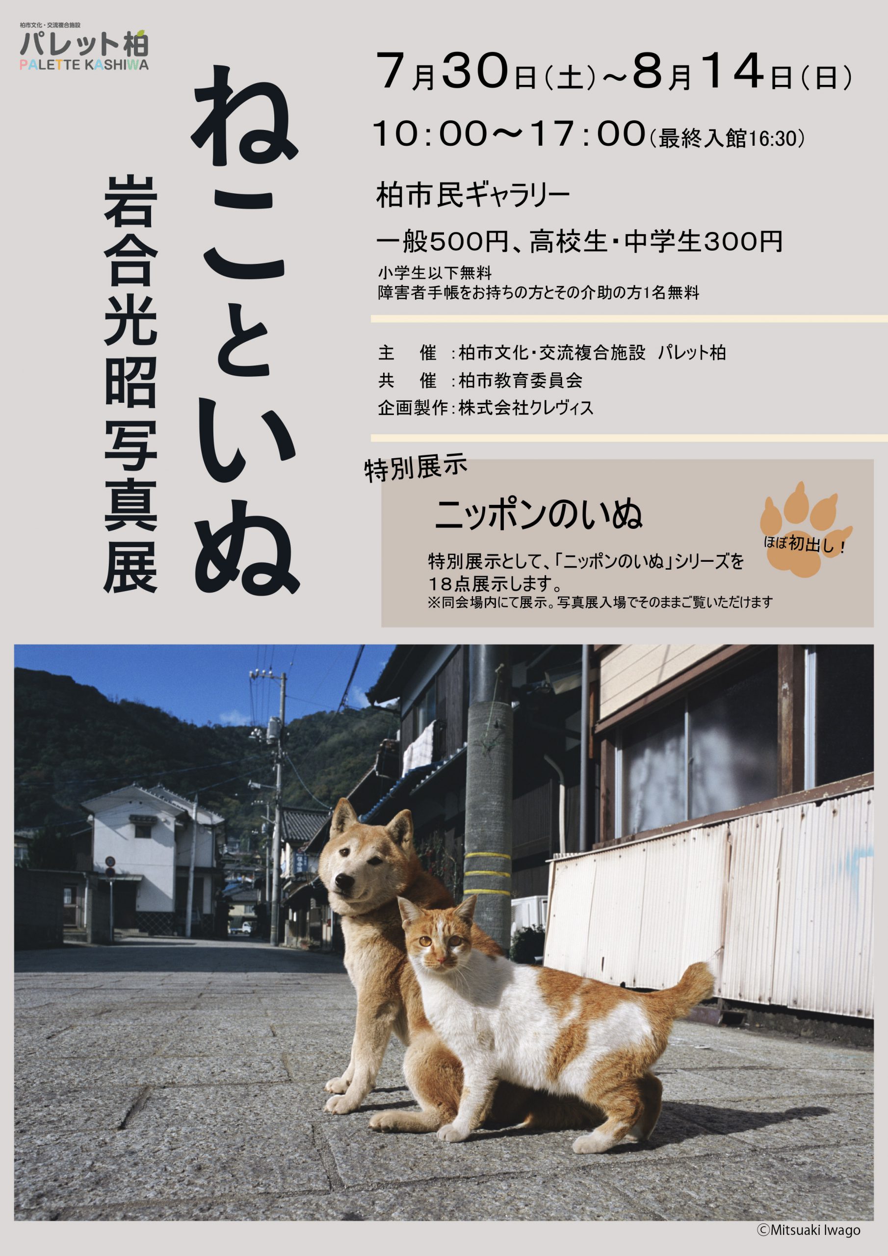 岩合光昭写真展 ねこといぬ Kamon かしわインフォメーションセンター 岩合光昭写真展 ねこといぬ Kamon かしわインフォメーションセンター