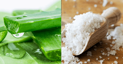 nha đam và muối giúp loại bỏ mảng bám và cao răng
