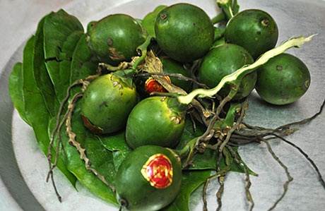 Làm đẹp răng an toàn bằng miếng cau