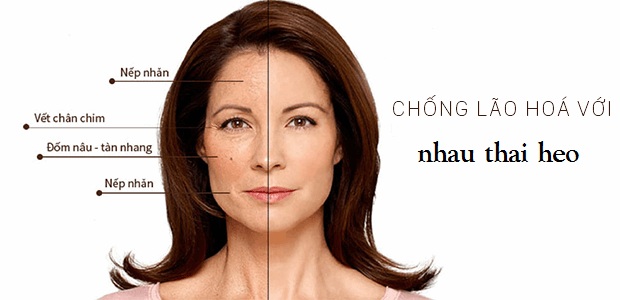 nhau thai cừu có tốt không