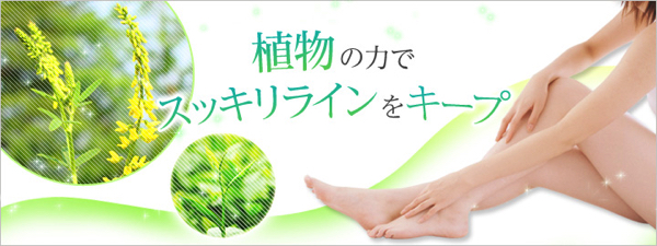 Thuốc giảm cân DHC Nhật Bản