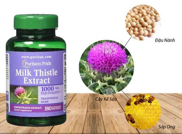 review vien bo gan milk thistle extract co tot khong 4