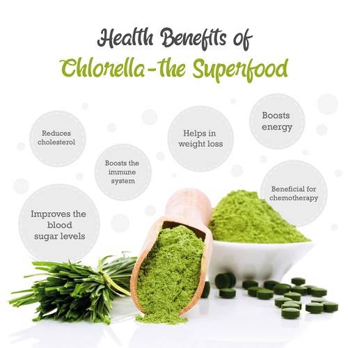 lợi ích của tảo Chlorella