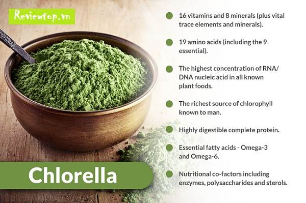 Top 9 tác dụng của tảo Chlorella