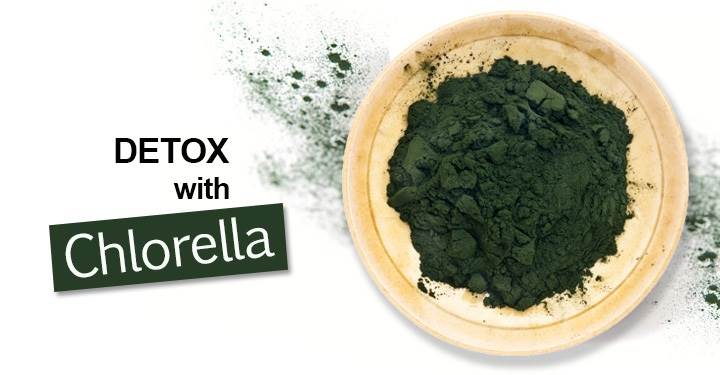 9 tác dụng của tảo Chlorella