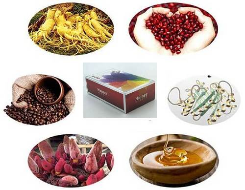 thành phần có trong kẹo nhân sâm hamer