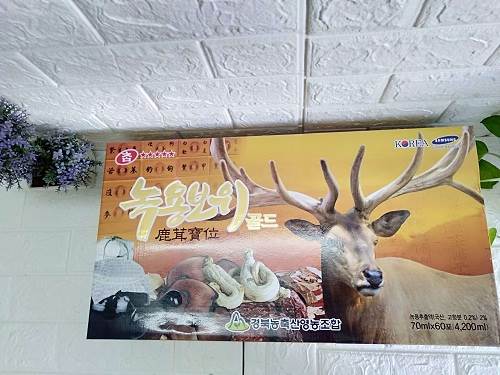 nước hồng sâm nhung hươu được bào chế từ thảo dược tự nhiên