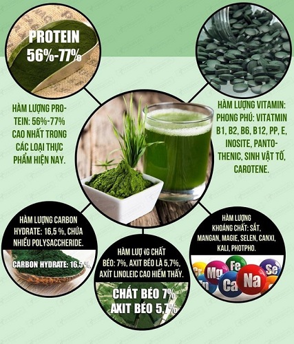 thành phần tảo spirulina