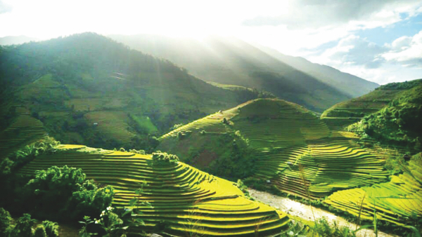 Đèo Khau Phạ - Du lịch Yên Bái