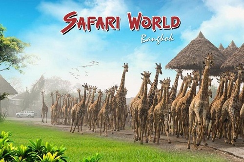 safari world bangkok - điểm đến khi du lịch bangkok