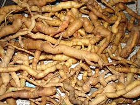 4 loại thảo dược nâng cao đời sống tình dục - 1