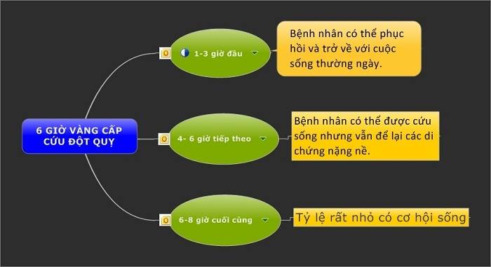 Thời gian vàng trong cấp cứu tai biến mạch máu não