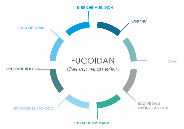 Fucoidan loại nào tốt nhất