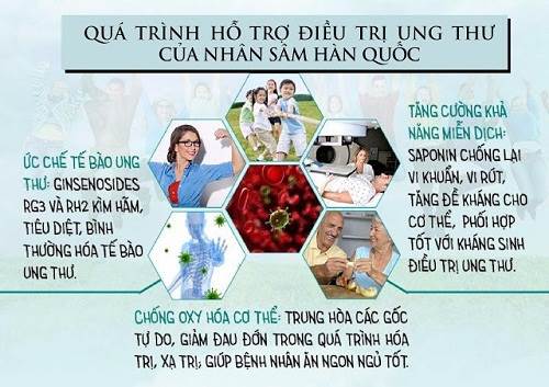 sâm tươi hỗ trợ tốt cho những bệnh nhân bị ung thư