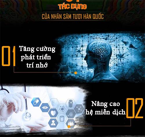 tac dung cua nhan sam1
