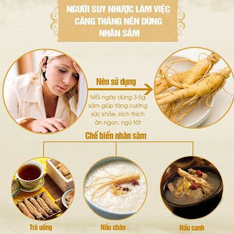 công dụng nhân sâm tươi là gì