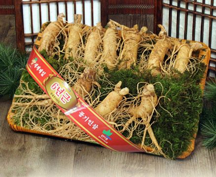 nhân sâm tươi hàn quốc 10 củ 1kg