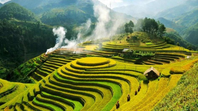 ruong bac thang 1