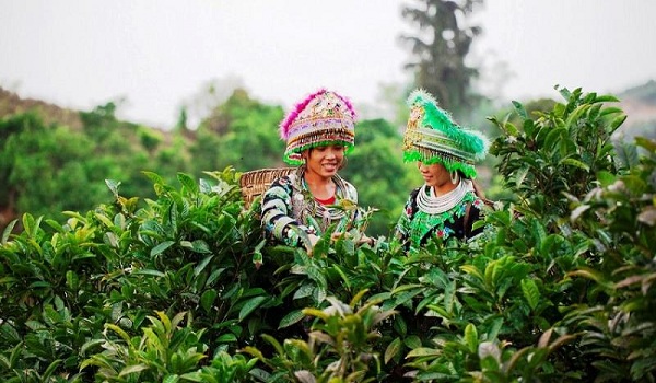 Du Lịch Suối Giàng, Yên Bái