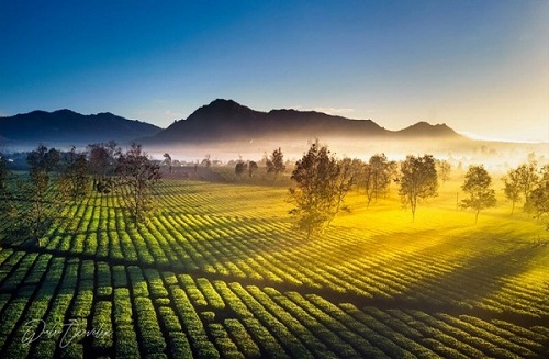 biển hồ chè pleiku - điểm du lịch tây nguyên hấp dẫn