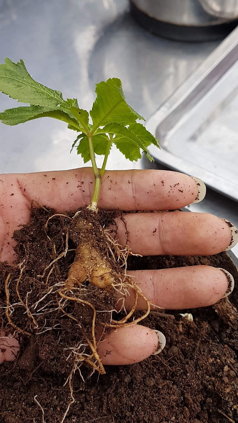 6 sai lầm ngớ ngẩn khiến bạn