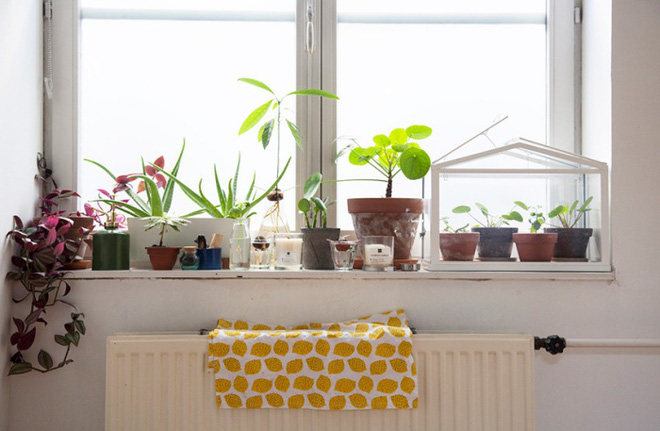 Căn hộ nhỏ vọn vẹn 30m² nhưng góc nào cũng quá đỗi dễ thương của cô gái độc thân - Ảnh 9.