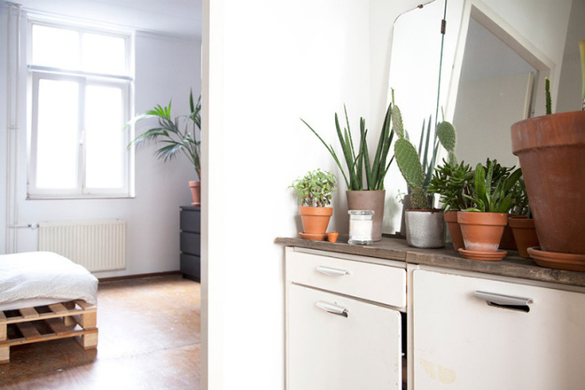 Căn hộ nhỏ vọn vẹn 30m² nhưng góc nào cũng quá đỗi dễ thương của cô gái độc thân - Ảnh 14.